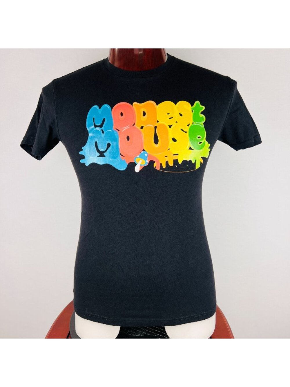 Modest Mouse 2023 Tour Rainbow Colors S T-Shirt Shirt